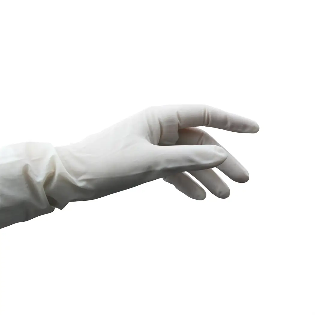 Latex Surgical Gloves