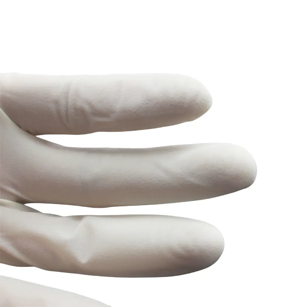 Latex Surgical Gloves