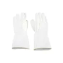 Latex Surgical Gloves